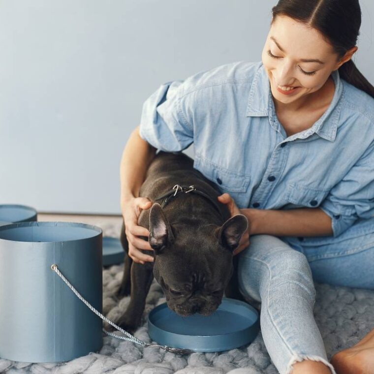 elegant-woman-blue-shirt-with-black-bulldog-min